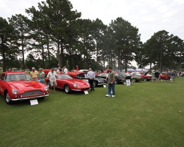 Overview of the field. Photo: J. Michael Hemsley