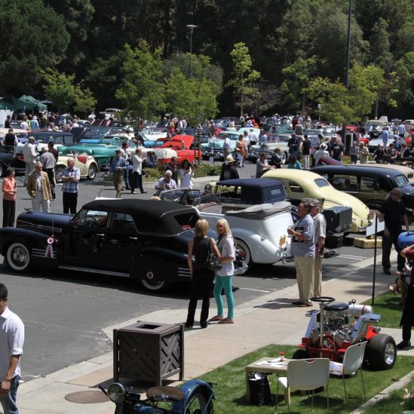 Impressive cross-section of cars on display. Photo: David Gooley