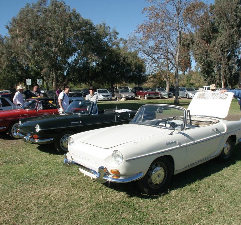 Rare American sighting of a flock of Renault Caravelles.Photo: David Gooley