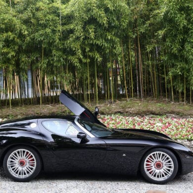 Zagato Mostro powered by Maserati Gallery