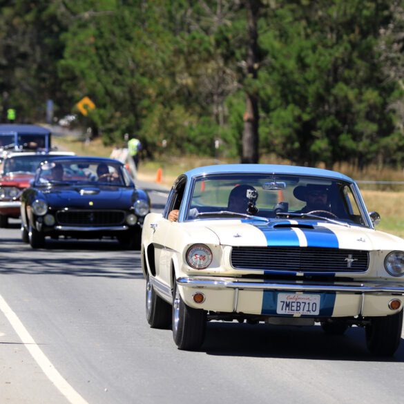 2015 Pebble Beach Concours d'Elegance-29