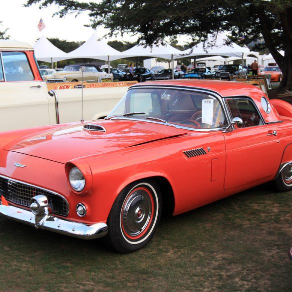 1956 Ford Thunderbird Gallery