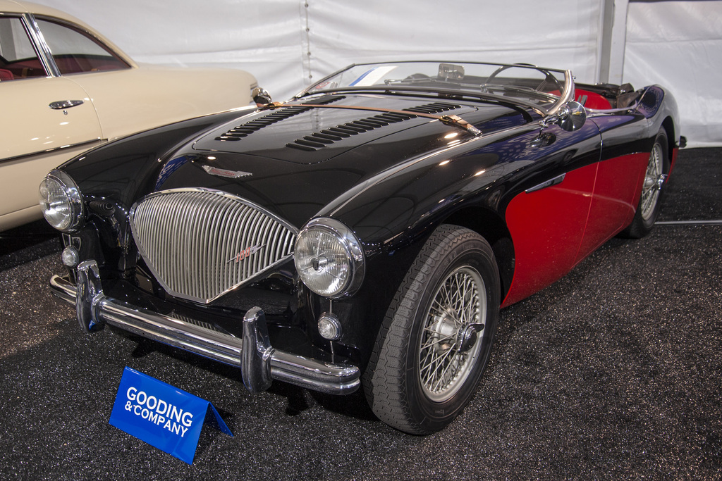 1955→1956 Austin Healey 100M