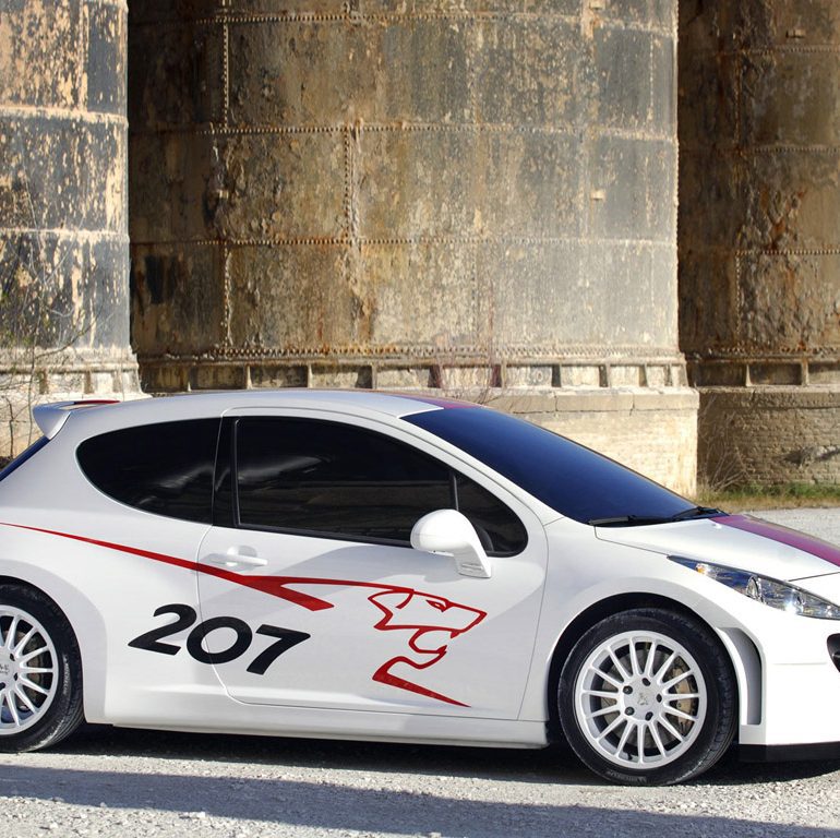 2006 Peugeot 207 RCup