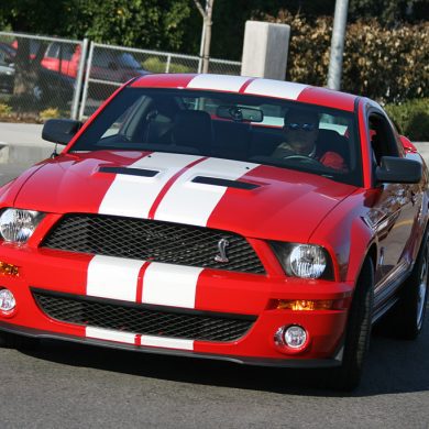 2005 Ford Shelby Cobra GT500 Gallery