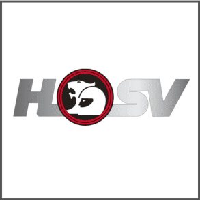 HSV Logo