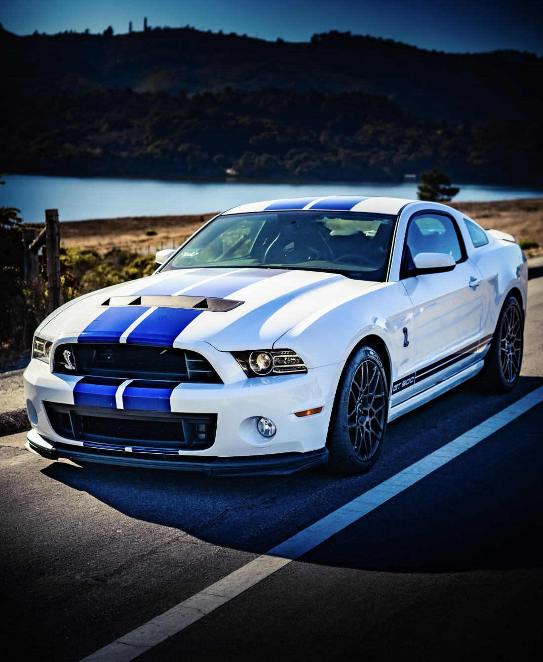 2014 Shelby GT500