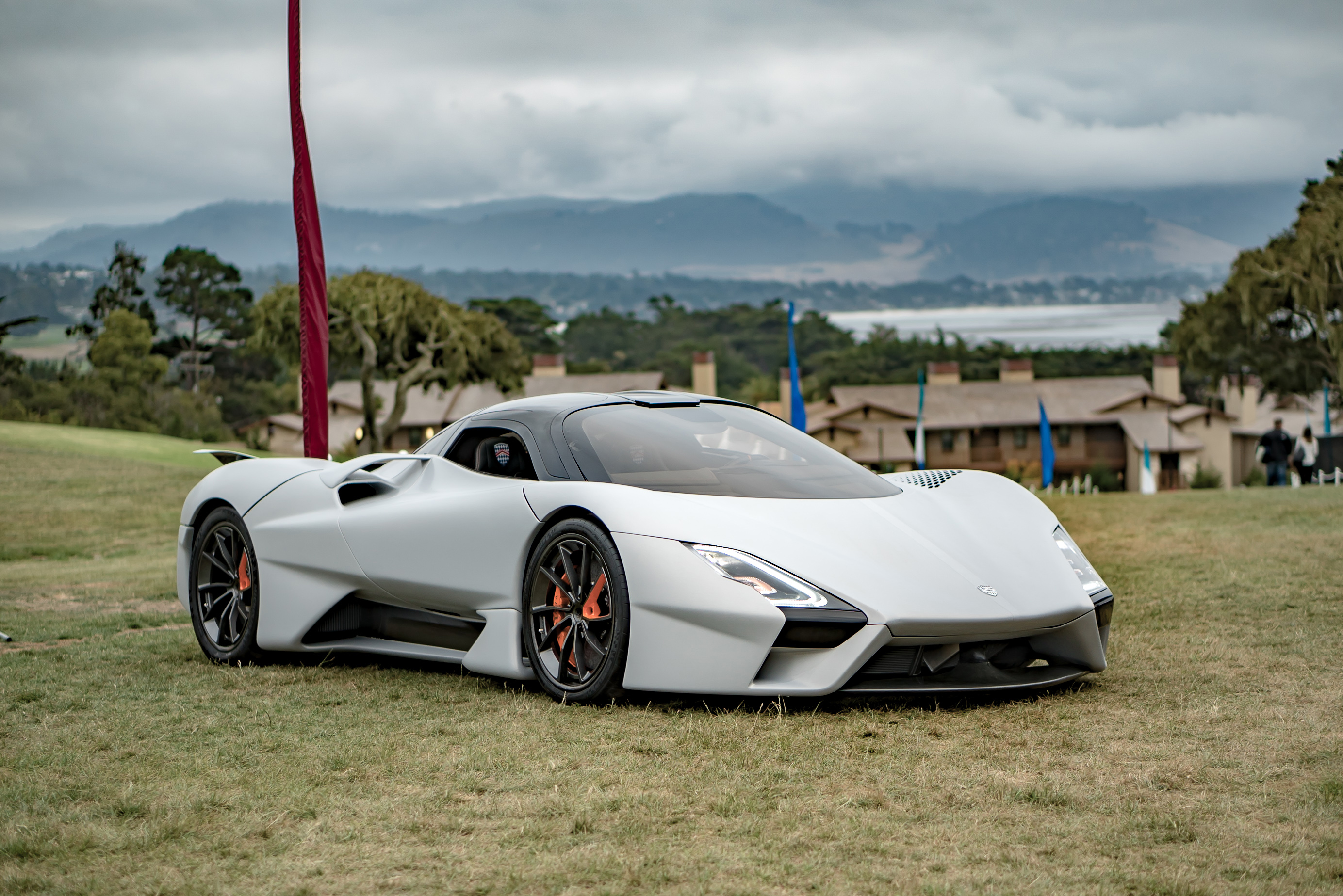 SSC tuatara concept