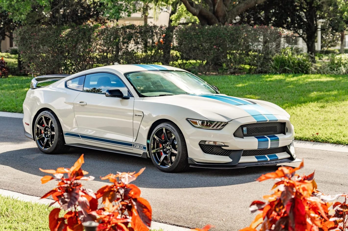 Car Of The Day: 2020 Ford Mustang Shelby GT350R Heritage Edition